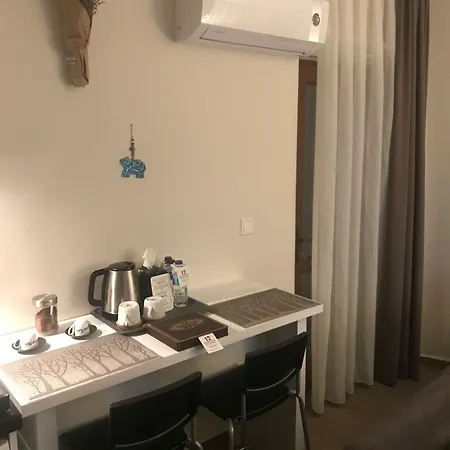 Hotel 12 3*