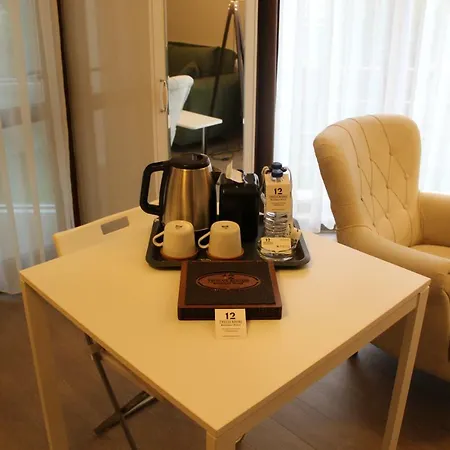 Hotel 12 3*